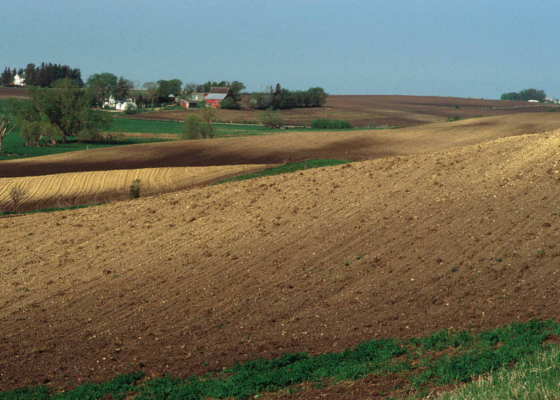 800px-Eroded_soils_in_Iowa